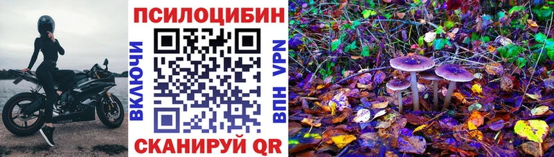 Купить  Бутурлиновка  Псилоцибиновые грибы Magic Shrooms 